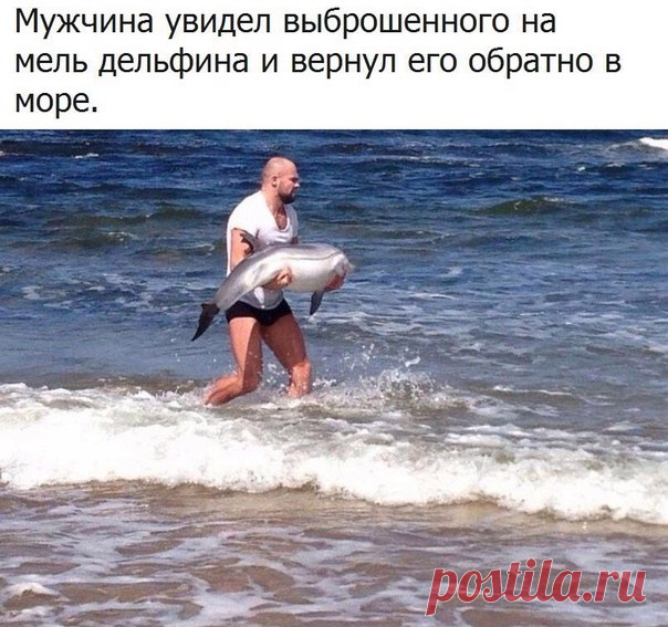 Самое Интересное Сообщество | СИС-БОТ