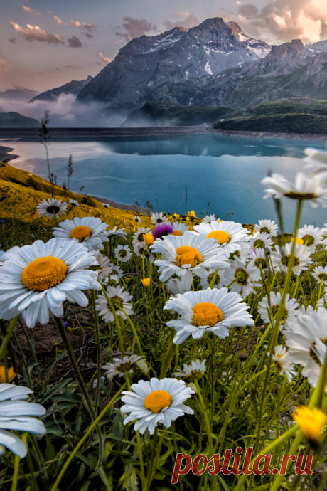 моря и реки