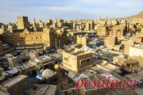 alidervash101 (@alidervash101) | Minds