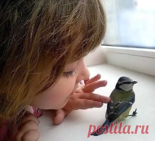 Придумаем снимку название...? )))