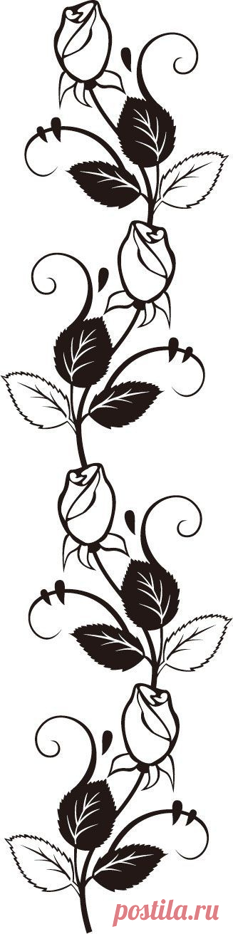 Найдено на сайте flowerillust.com.