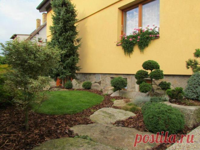 ПРЕКРАСНЫЙ СТИЛЬНЫЙ САД С ХВОЙНИКАМИ | Самоцветик