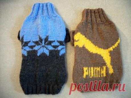 вязаная одежда для собак (идеи)