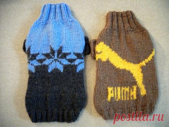 вязаная одежда для собак (идеи)