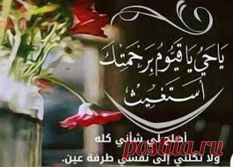 احدث صباح الخير للاصدقاء بالصور - سيدات مصر