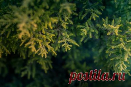 Магнитные бури сегодня: прогноз на 27 января – стабильное состояние магнитосферы