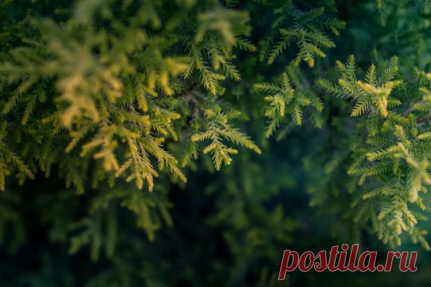 Магнитные бури сегодня: прогноз на 27 января – стабильное состояние магнитосферы