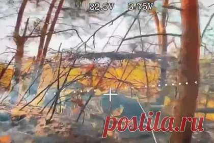 Уничтожение замаскированного танка Leopard ВСУ попало на видео