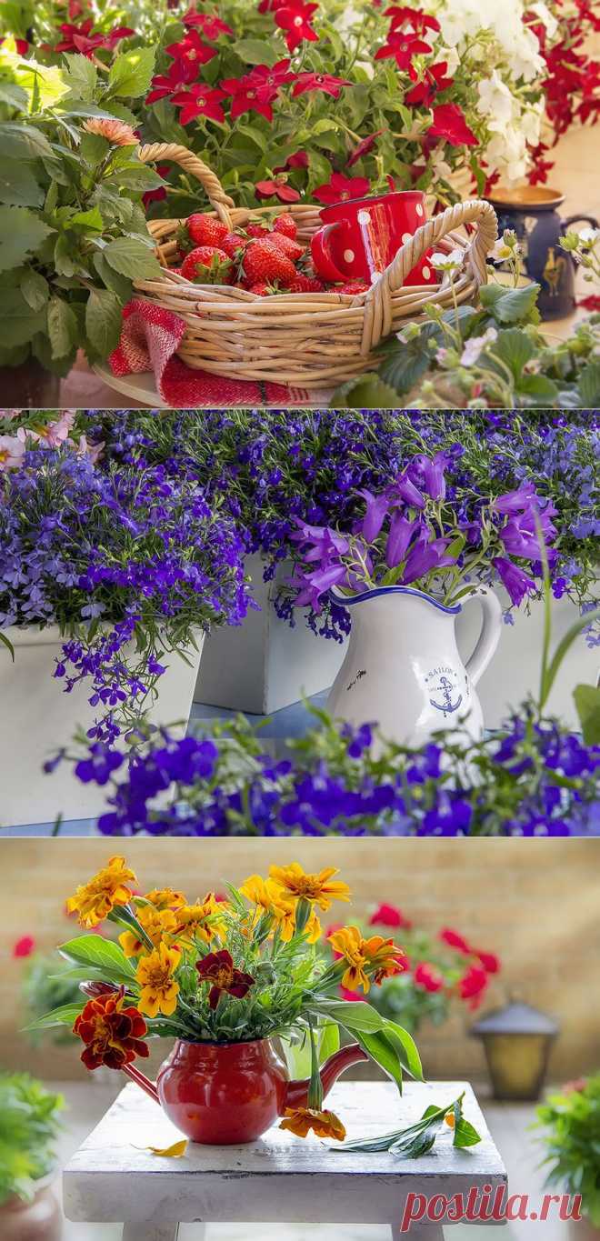 Балконные страсти! Лобелия, герань.