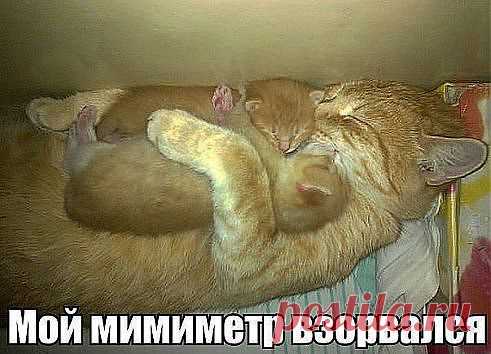 * * * * * * * * * * * *