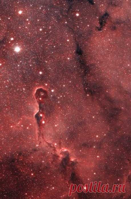 Миллиарды и миллиарды - Магистральные туманность IC 1396 Слон является ...