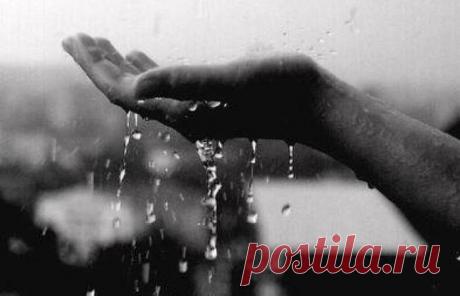 «Слёзы людские»: эмоциональное стихотворение Леонида Филатова, которое позволяет сохранить веру в людей