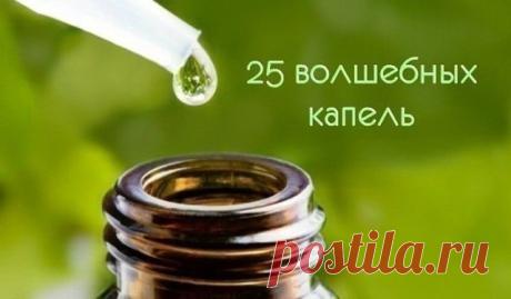 25 волшебных капель для мозгового кровообращения. Мгновенно устраняют спазм сосудов и снимают боль!

Спазм сосудов головного мозга возникает на фоне нарушенного кровообращения. Первейший симптом – головная боль. Ее отчасти могут снять таблетки. Но ведь обезболивающие средства не устраняют первопричину недомогания – плохое кровообращение в сосудах головного мозга и их сужение.

Предлагаем взять на вооружение прекрасное натуральное средство. Оно буквально за мгновения устран...