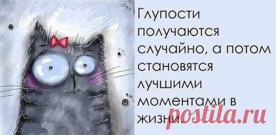 (9) Одноклассники