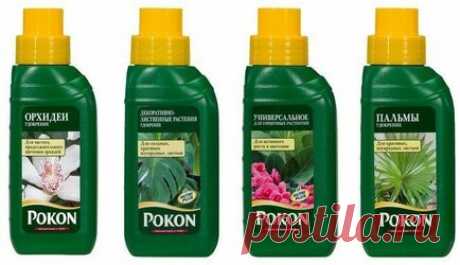 Удобрение Pokon (Покон) - инструкция по применению Pokon (Покон) – это комплексные минеральные удобрения для цветущих садовых и любых комнатных растений, хвойных пород, газона и овощей. Препарат выпускается в различных формах, удобных для подкормки: гранулы, палочки, таблетки, спрей и концентрат. Содержит все необходимые для развития и роста вещества. Обладает продолжительным сроком действия. Удобрив средством один раз, вы обеспечиваете растительность питательными элементами на 3-6 месяцев.
