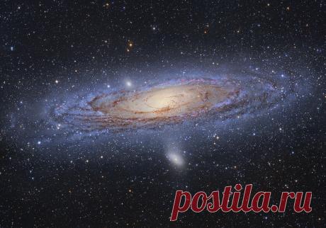 Чего не знает Шелдон Купер, звезда по имени Солнце и детективная история Всего