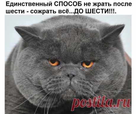 Вот что произойдет, если положить в ухо кусочек лука! После этой статьи ты будешь засыпать с луком в ухe .

Природные средства — лучший способ решать проблемы со здоровьем, не так ли? Натуральные средства всегда будут более безопасны, чем синтетические. И обычно стоят они тоже дешевле.
Лук — это чудо-овощ, который может решить массу ваших хронических проблем.


Вот список
1. Кашлю — нет!
Луковый сок — высокоэффективный сироп от кашля. Но вряд ли вам понравится его запах и ...