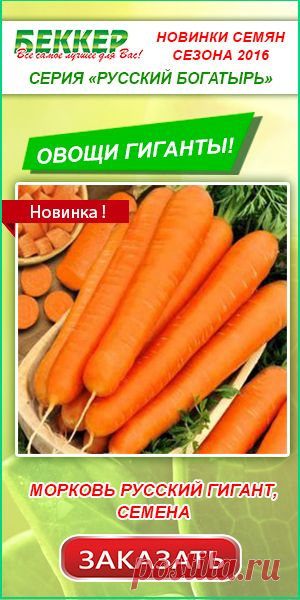 Дачные поделки / 7dach.ru