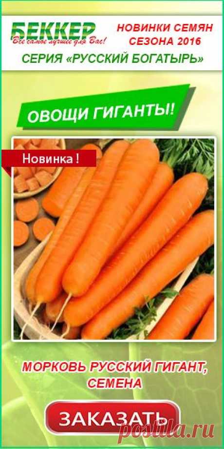 Дачные поделки / 7dach.ru