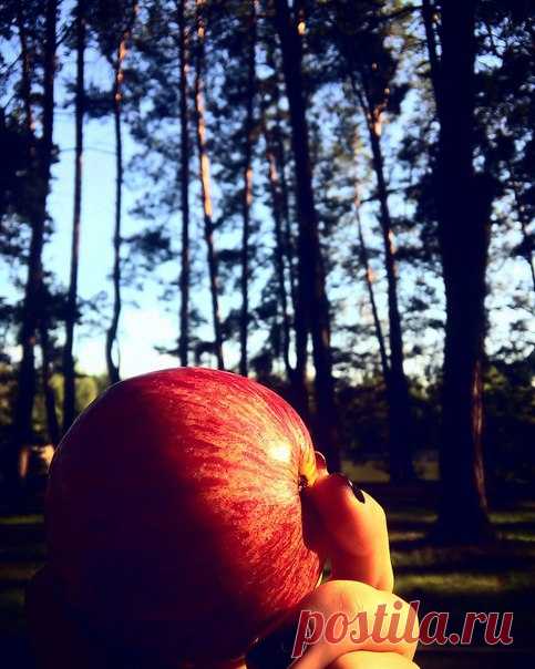 Фото дня Ваши яблоки (Яблочный Спас) Победитель Василиса Стрелова (Приз 1 голос вконтакте) Поздравляем!😊😊😊 Спасибо всем за участие.