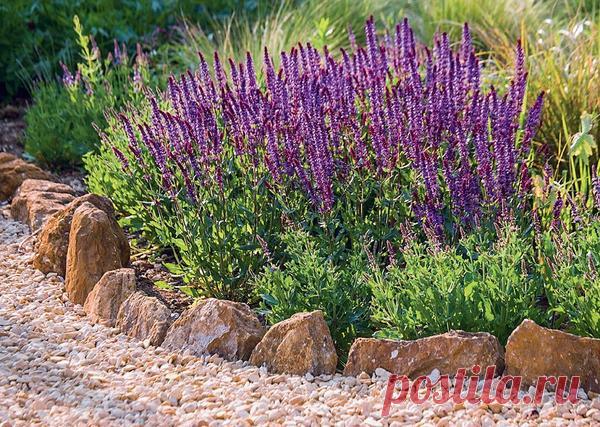 Бордюры — стильная оправа для садовых «самоцветов»