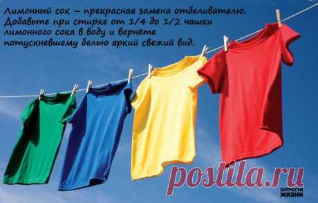 Хитрости жизни