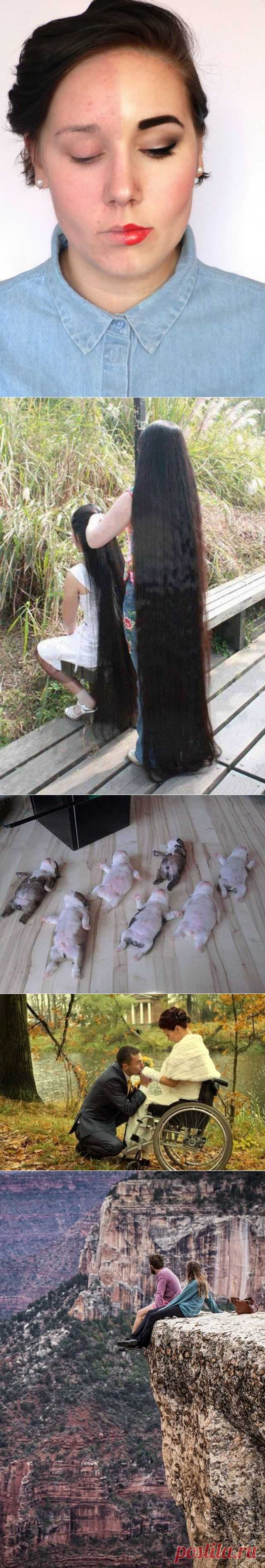 Больше, чем просто фото (42 фото) | Хитрости Жизни