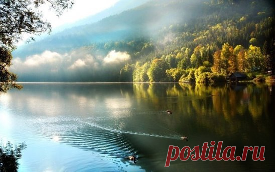 Единственное прекрасное в этом мире — это природа. Вот чем можно восхищаться до бесконечности.