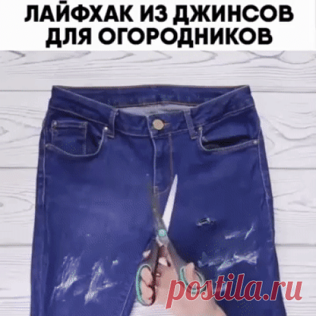Лайфхак для огородников из старых, ненужных джинсов!!!
#советы