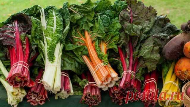 Несъедобные части продуктов, которые очень полезны — Готовим дома