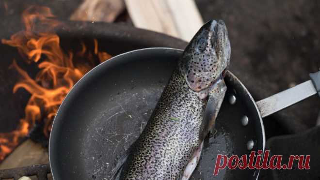 Что приготовить на ужин из рыбы - 5 вкусных пошаговых рецептов с фото | Что приготовить на ужин?