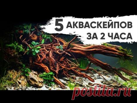 5 крутых акваскейпов за 2 часа - YouTube