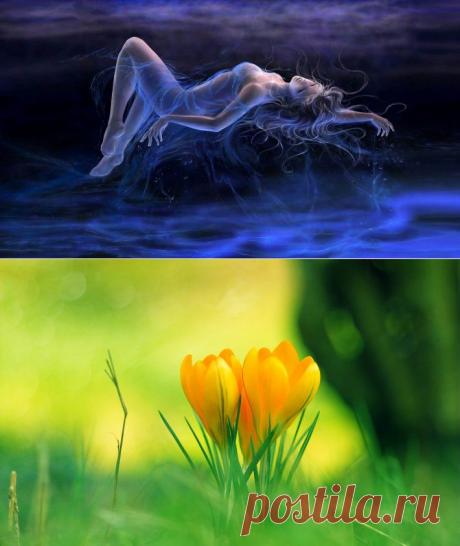 Большие обои на рабочий стол микс (22 фото) » RadioNetPlus.ru развлекательный портал
