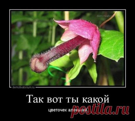 .........)
