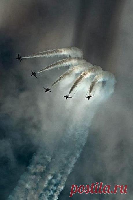 Живая природа