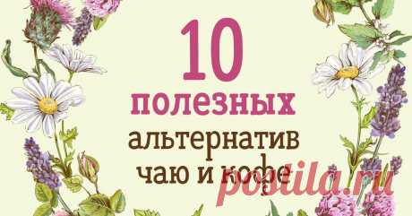 Что пить вместо чая и кофе Цветки, листья и стебли растений.