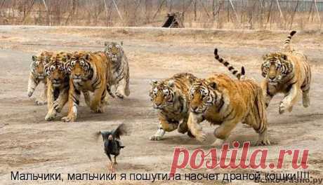 вот так и бывает