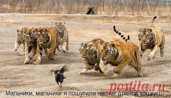 вот так и бывает