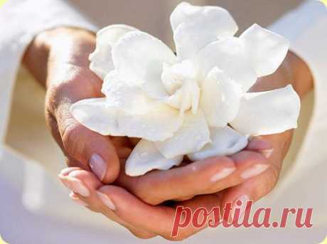 Притча «Я попросила...»
Я попросила у Господа забрать мою гордыню,
А Бог сказал мне: "Нет".