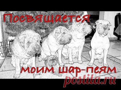 ▶ Посвящение моим шар-пеям. Мой дневник. Калейдоскоп. - YouTube