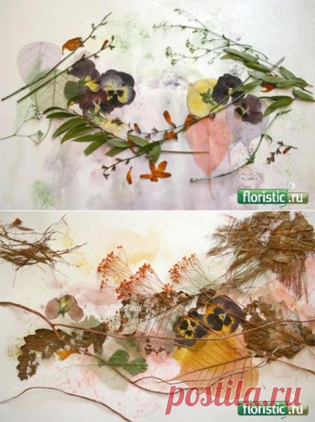 Коллажи и декоративные панно - Страница 4 - Флористика: популярный флористический форум