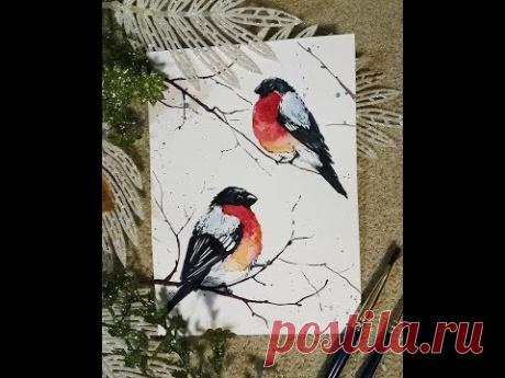 Как нарисовать снегирей акварелью? - YouTube