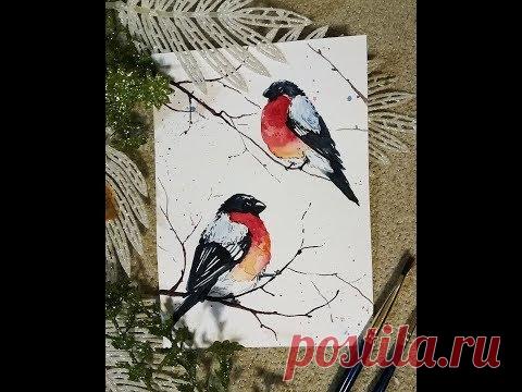 Как нарисовать снегирей акварелью? - YouTube