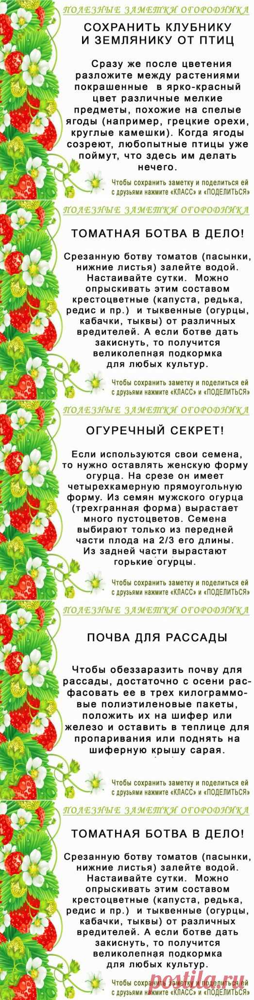 (61) Одноклассники
