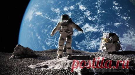 Внеземная архитектура: 9 проектов лунных колоний В прошлом году журнал Eleven подвел итоги международного архитектурного конкурса Moontopia на лучший проект первой самодостаточной лунной колонии, предназначенной для жизни, работы, исследований и кос...