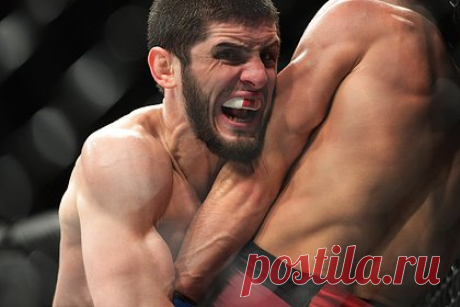 В UFC отреагировали на обвинения Махачева в жульничестве. Вице-президент UFC Джефф Новицки отреагировал на обвинения российского бойца смешанного стиля (MMA) Ислама Махачева в жульничестве. Новицки подчеркнул, что Австралийская комиссия единоборств (АКЕ) не нашла доказательств против спортсмена. Он обратил внимание на то, что у АКЕ есть правило, которое запрещает капельницы.