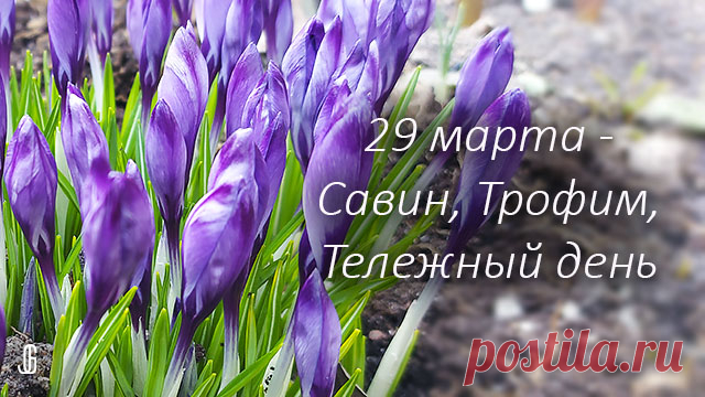 Народные приметы 29 марта. Савин, Трофим, тележный день. Что нельзя делать 29 марта по поверьям и приметам, а что можно и надо сделать