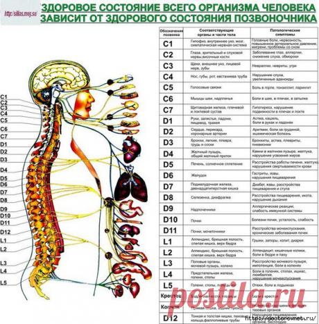 Советы и рецепты для Вашего здоровья