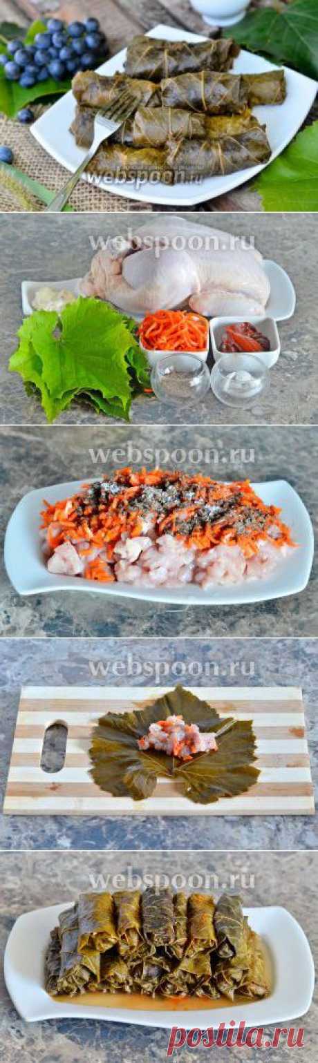 Долма из курицы с корейской морковью под сливочно-томатным соусом