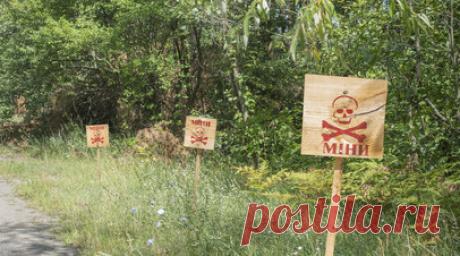 Министр обороны Украины Резников просит Запад ускорить программу подготовки сапёров ВСУ. Украина сильно нуждается в сапёрах и в технике для разминирования линии фронта, заявил британской газете The Guardian украинский министр обороны Алексей Резников. По его словам, инженерные бригады терпят потери из-за минных полей, поэтому западным странам нужно расширить и ускорить программу подготовки специалистов для Киева. Читать далее